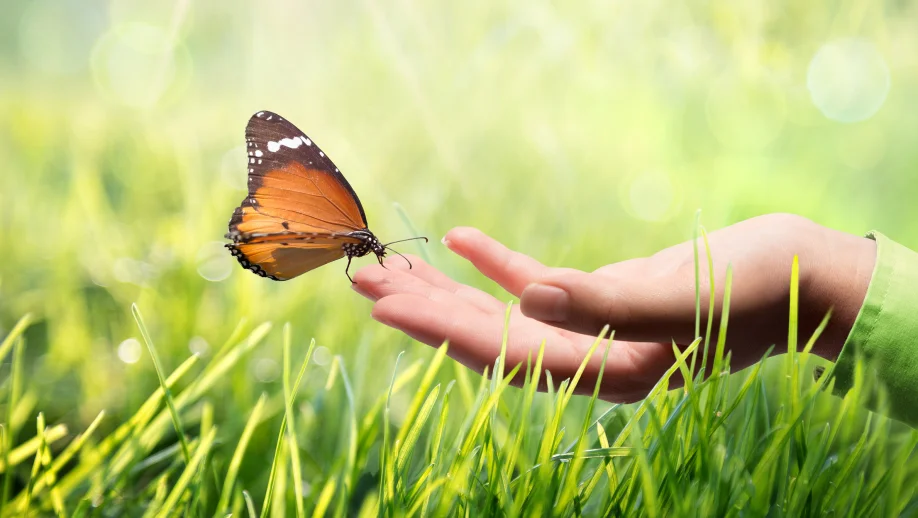 SEW-EURODRIVE 高度重视可持续性